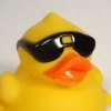 Rubber Duck's Avatar